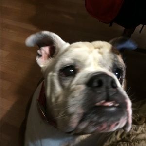 Meet your Posher, Vicki